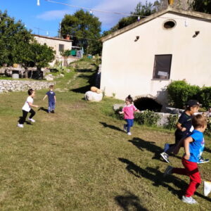 Progetto mulino ad acqua