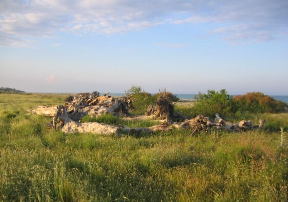 Dune Guardavalle